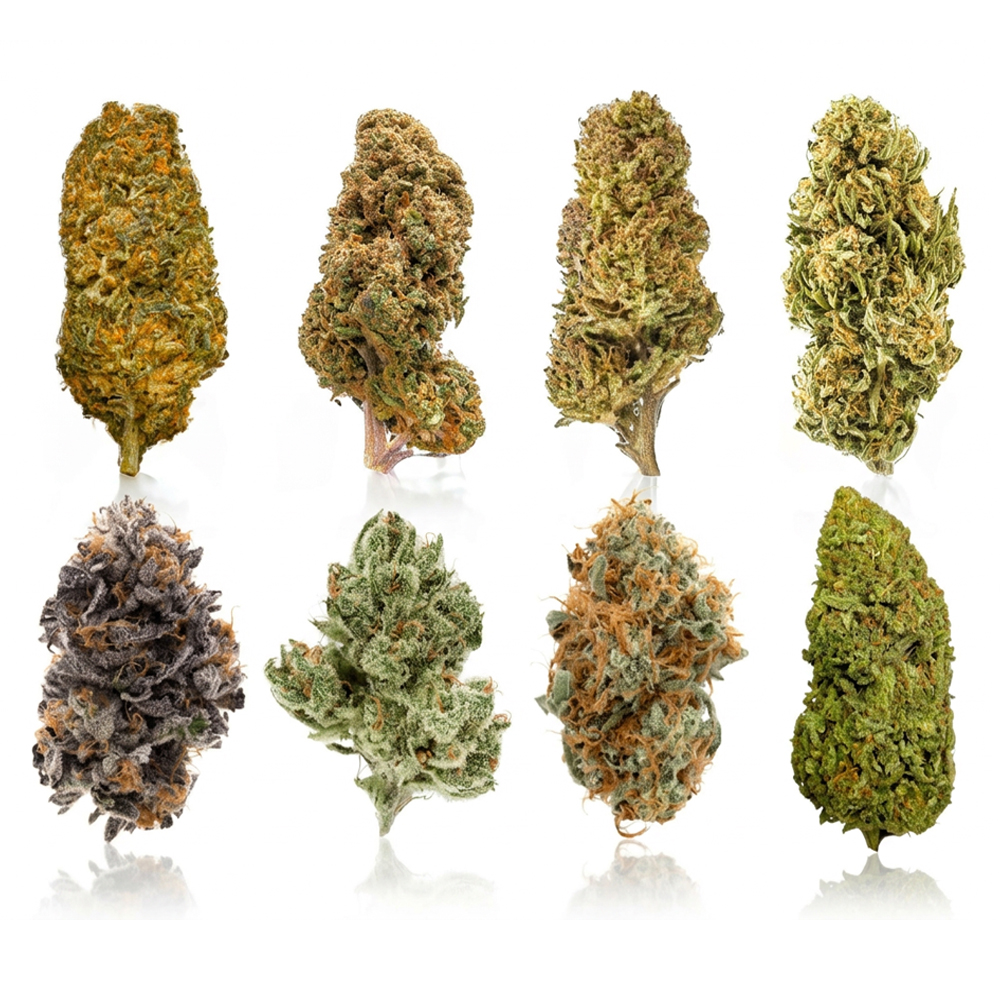 buy-weed-online-dispensary-surprise-pack-8-strains Specialty - Surprise Pack - Ounce (8 x 3.5g Each) - Image 1