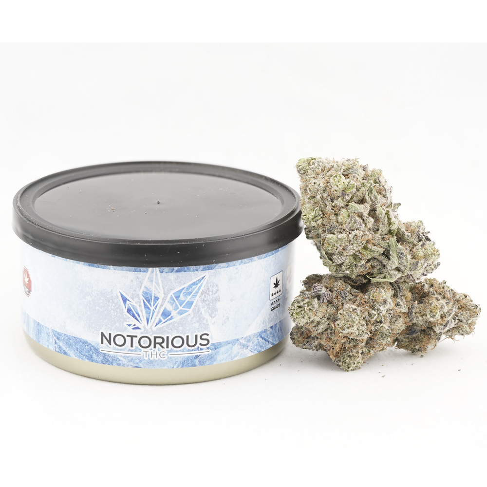 buy-weed-online-dispensary-craft-tuna-can-black-mamba.jpg Notorious THC Craft - Black Mamba (7 Grams) - Image 1