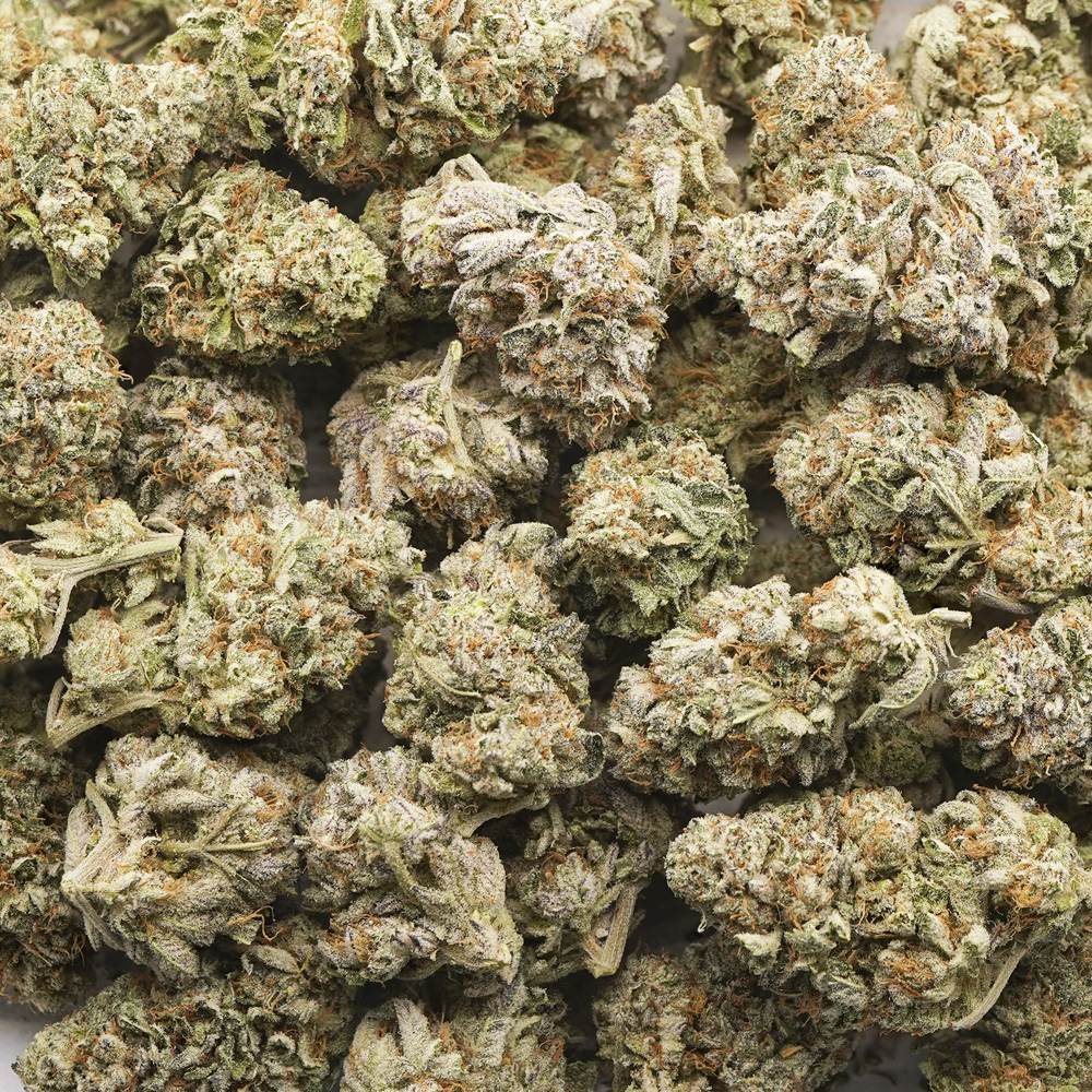 buy-weed-online-dispensary-firestorm-aaa-wholesale.jpg Wholesale - Firestorm - AAA - Image 1