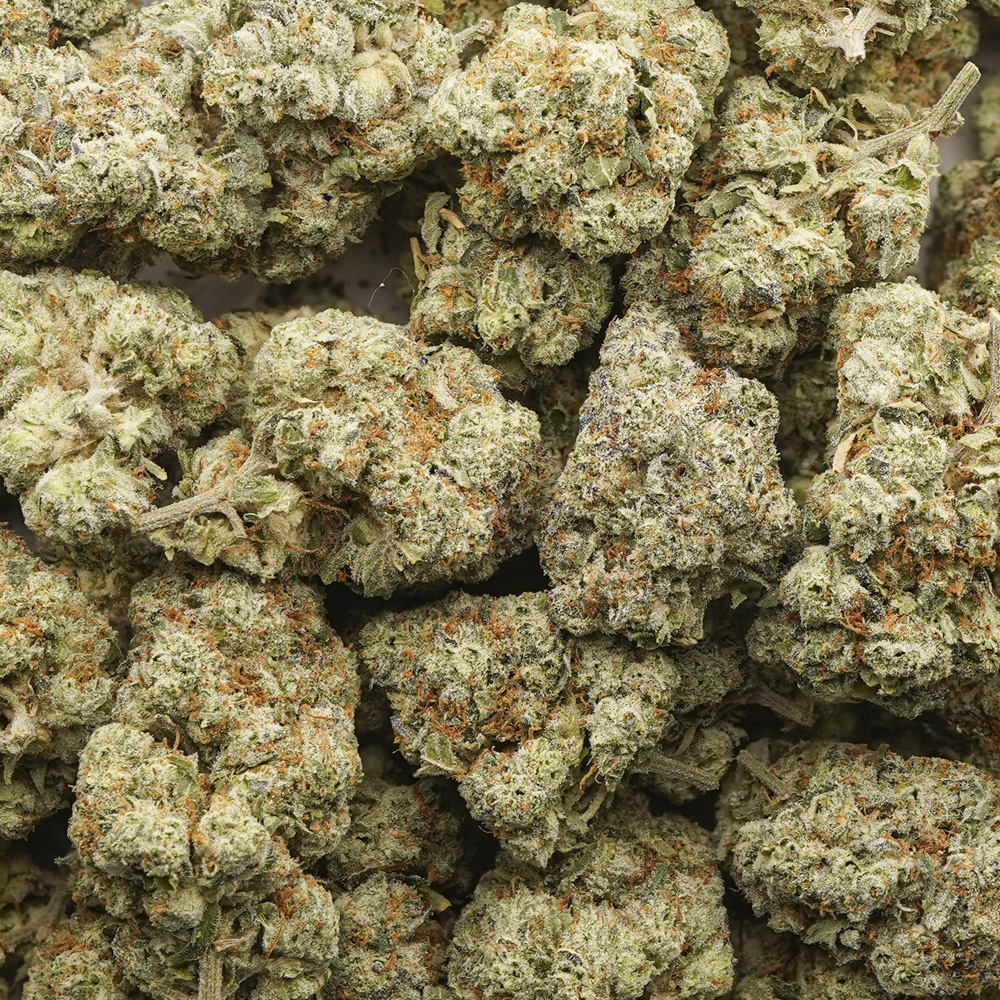 buy-weed-online-dispensary-wedding-pie-aaa-wholesale-1.jpg Wholesale - Wedding Pie - AAA - Image 1