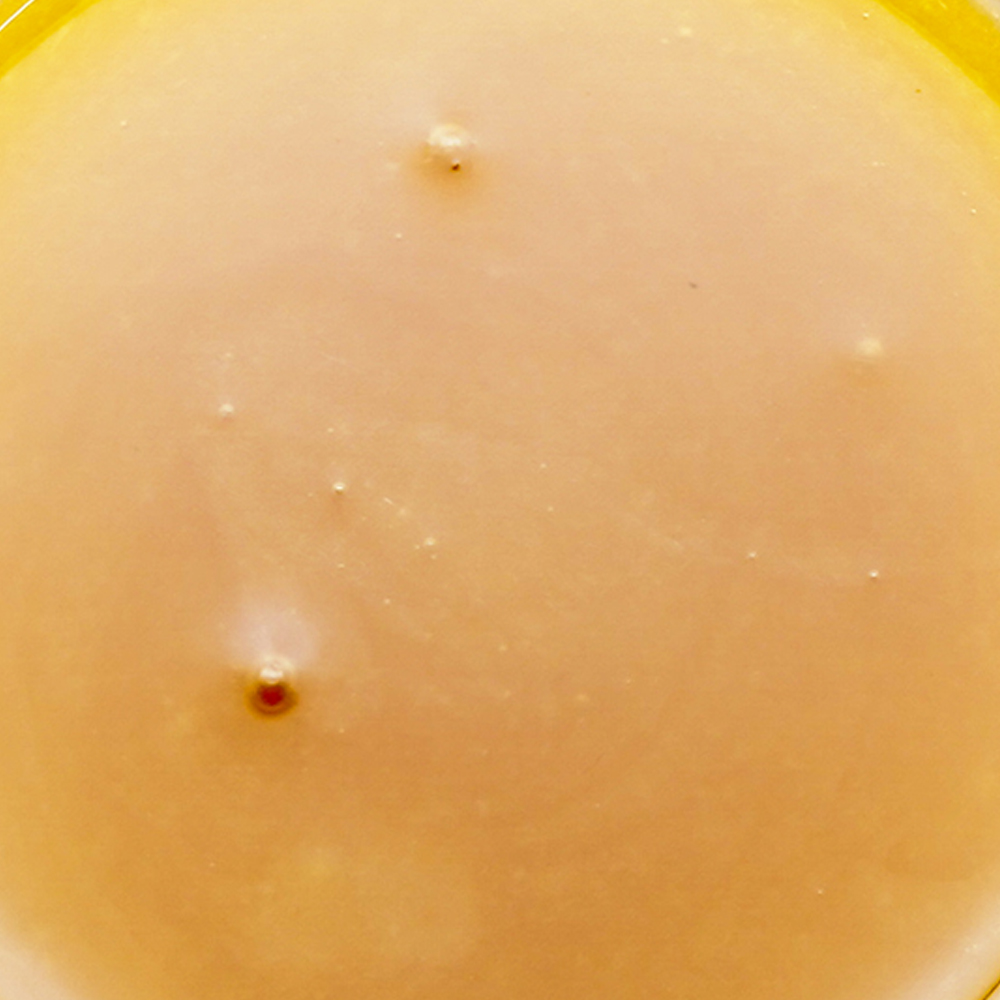 buy-weed-online-dispensary-concentrates-terp-sauce-bobby-wild-zoom.jpg Sauce - Bobby Wild - Indica - Image 1