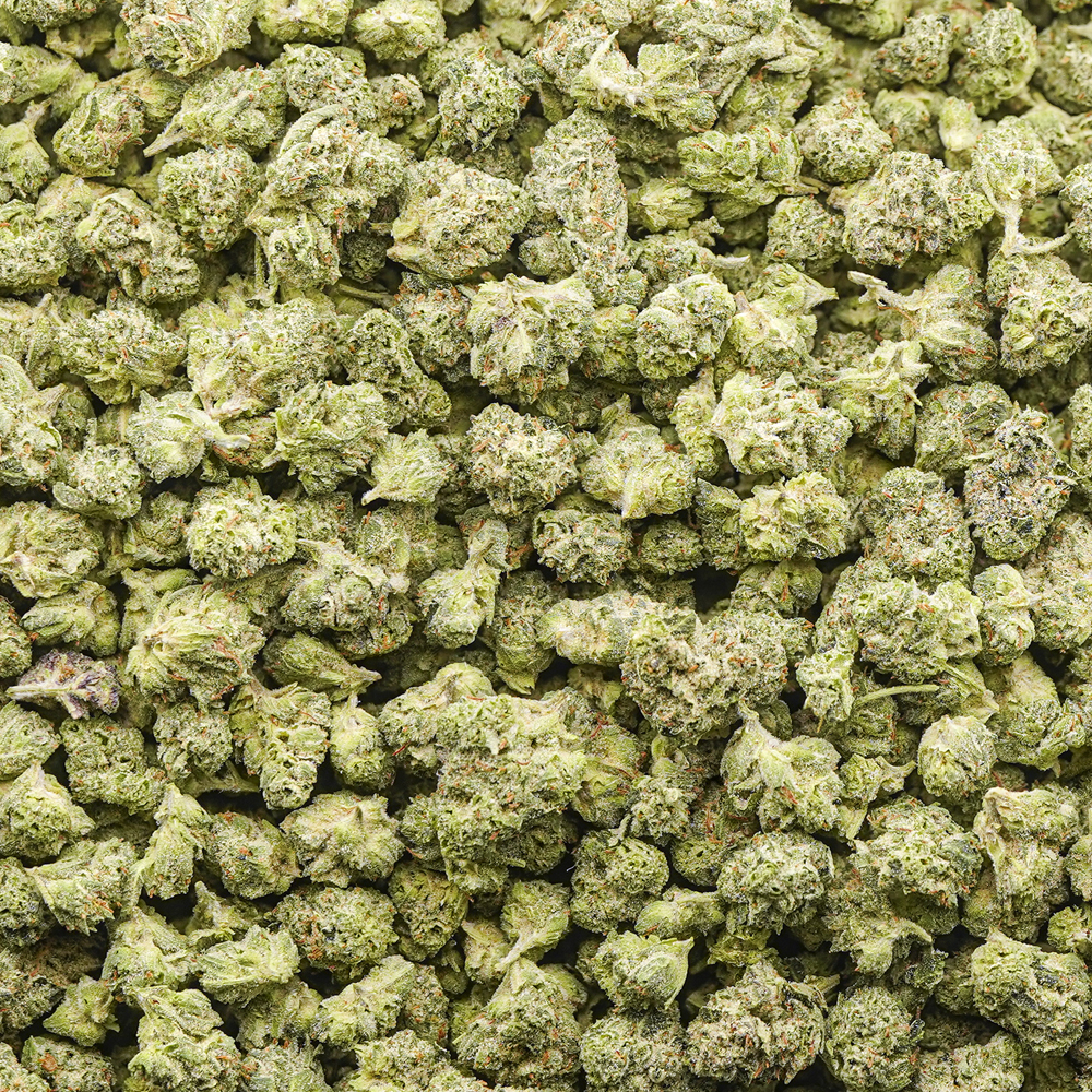 buy-weed-online-dispensary-master-kush-aaaa-popcorn-wholesale Wholesale Popcorn - Master Kush - AAAA - Image 1