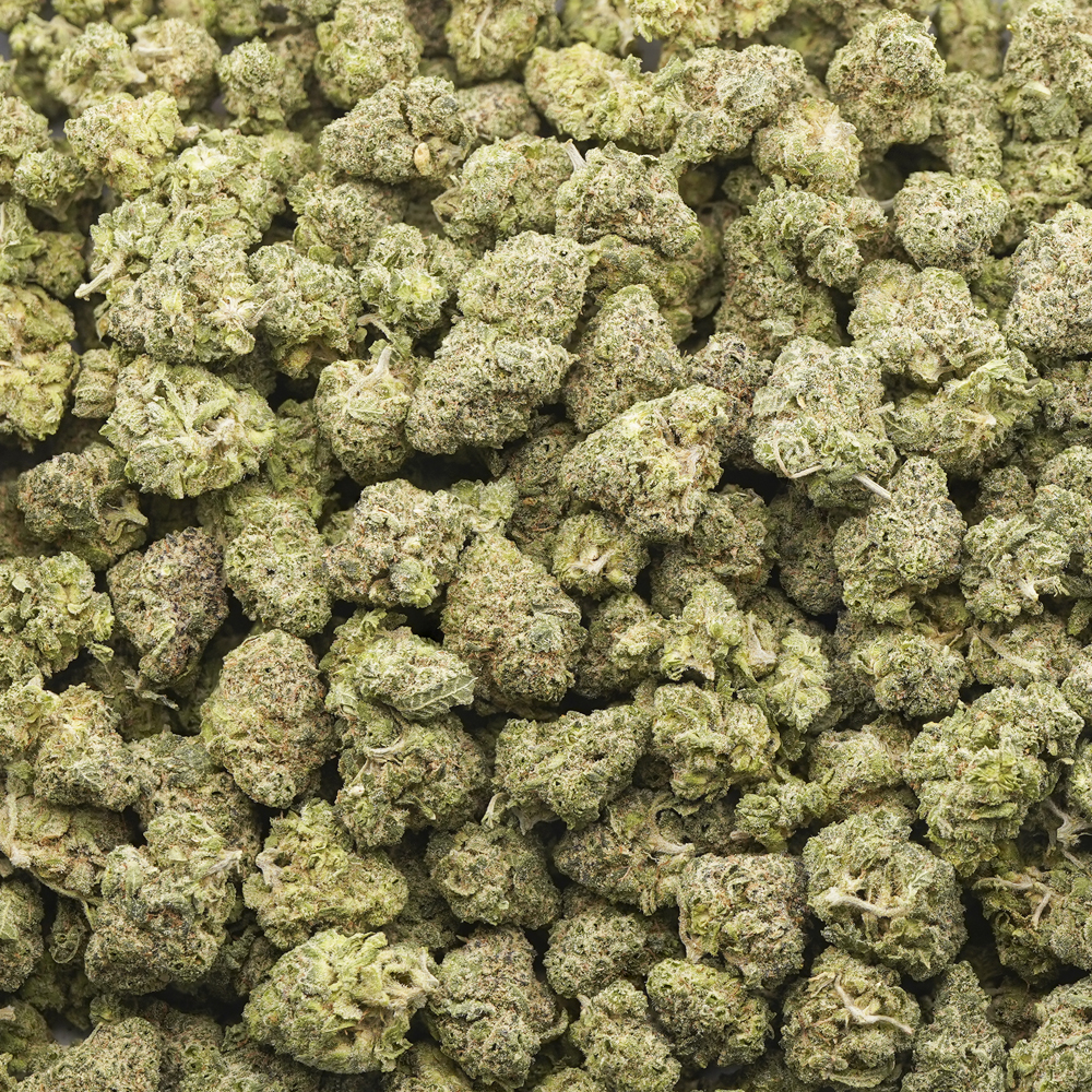 buy-weed-online-dispensary-black-afghani-aaaa-popcorn-wholesale Wholesale Popcorn - Black Afghani - AAAA - Image 1