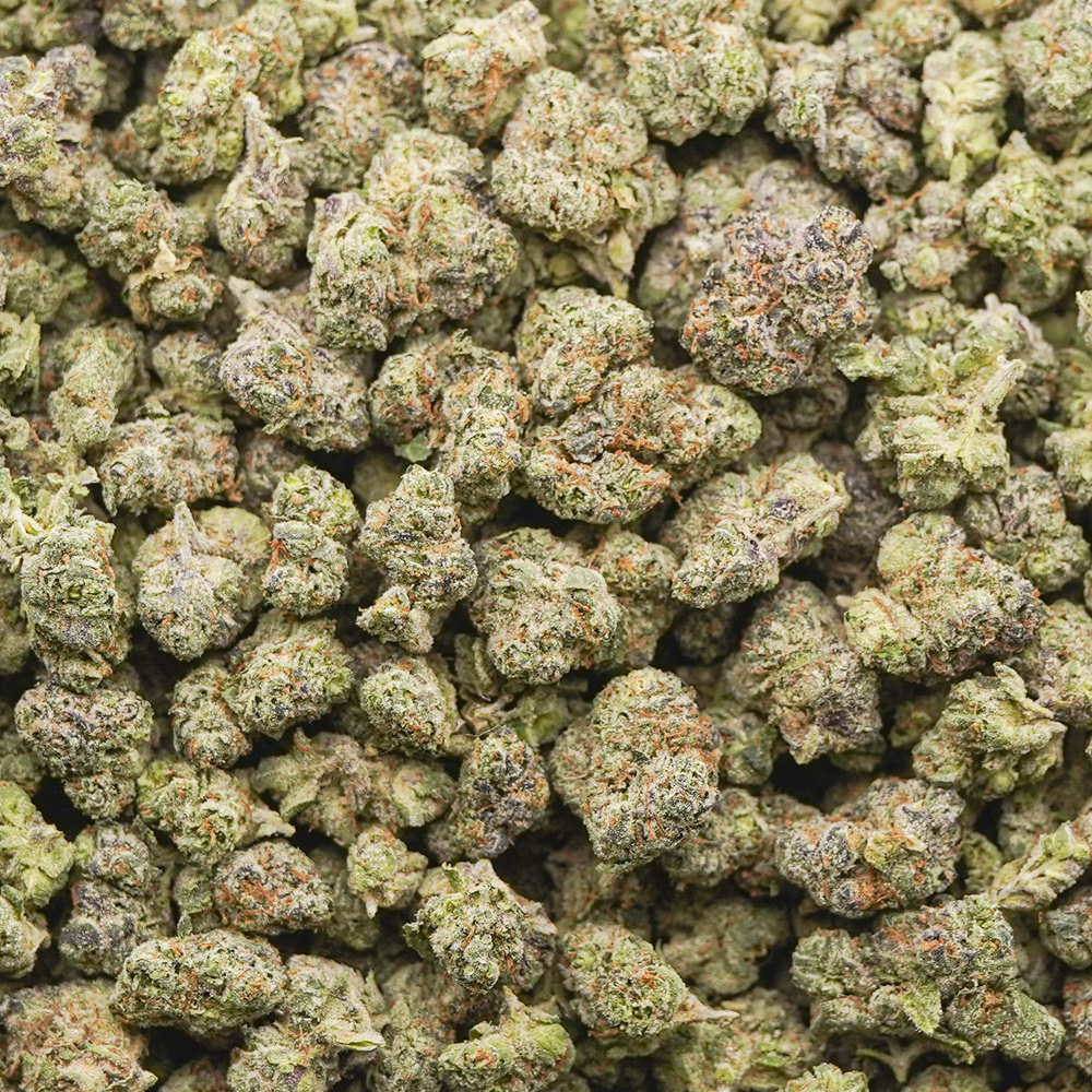 buy-weed-online-dispensary-galactic-warhead-aaaa-popcorn-wholesale Wholesale Popcorn - Galactic Warhead - AAAA - Image 1
