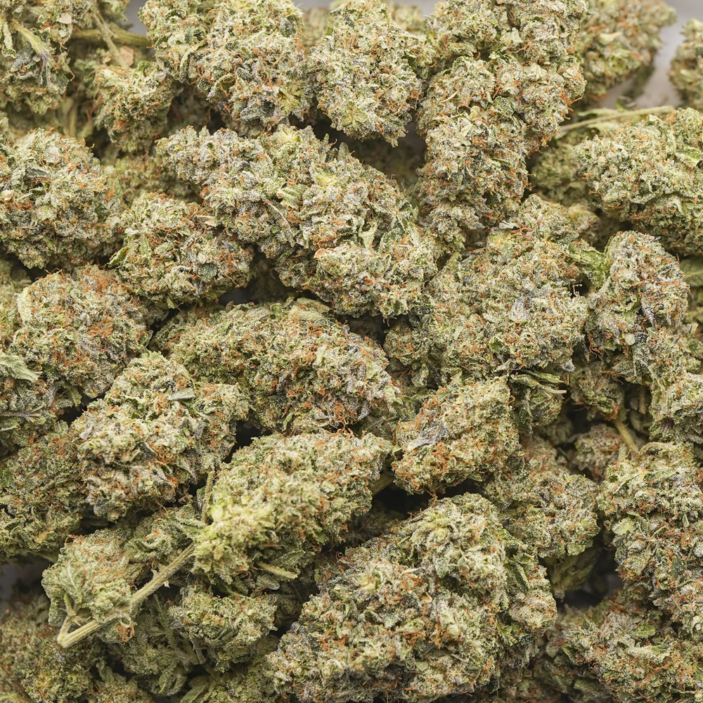 buy-weed-online-dispensary-grand-master-kush-aaaa-wholesale Wholesale - Grand Master Kush - AAAA - Image 1