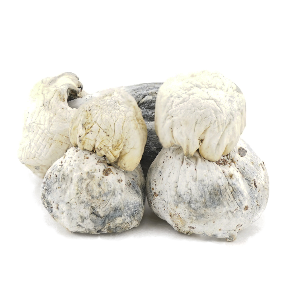 buy-weed-online-dispensary-magic-mushrooms-pearly-gates-three Shrooms - Pearly Gates - Image 1