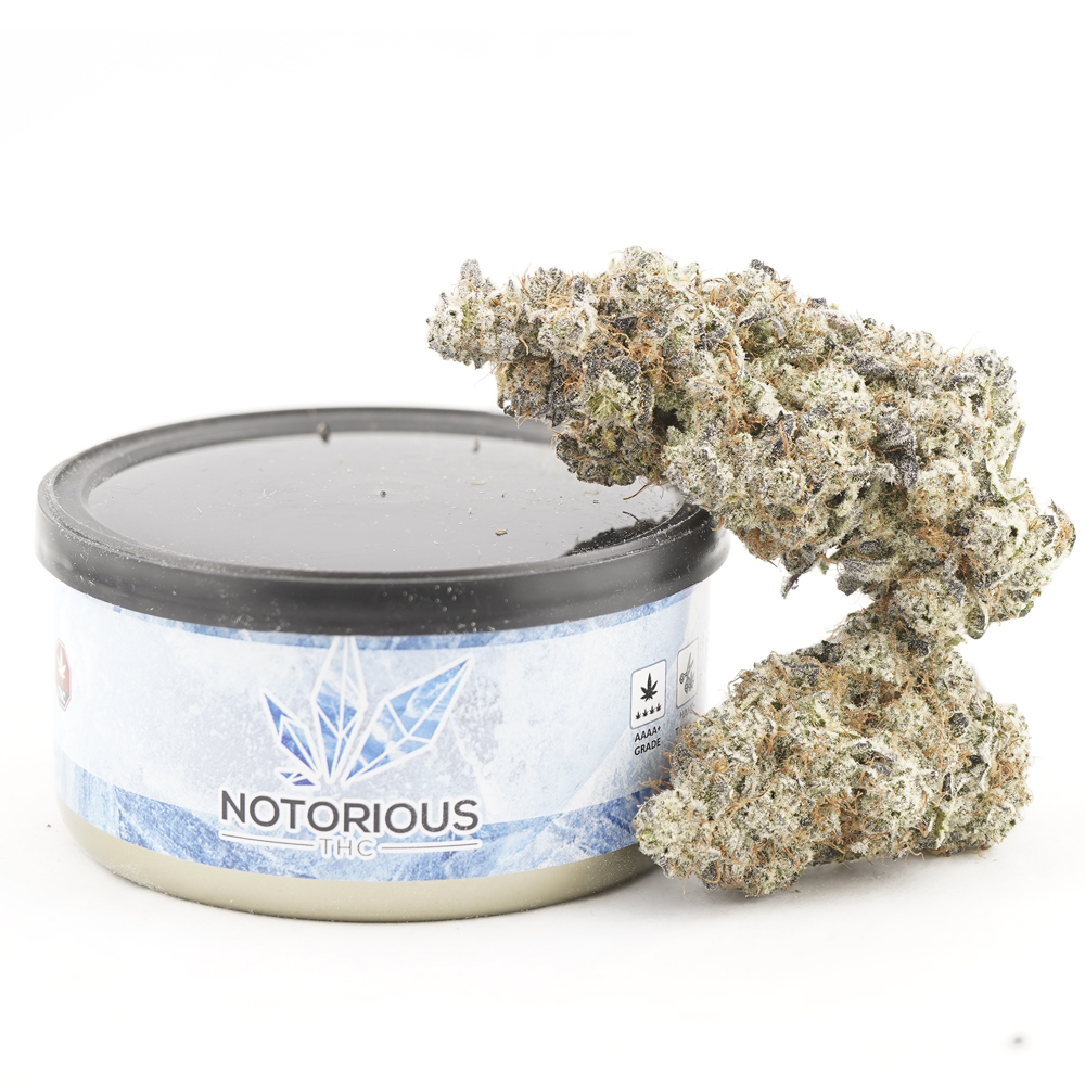 buy-weed-online-dispensary-notorious-tuna-can-craft-death-bubba Notorious THC Craft - Death Bubba (7 Grams) - Image 1