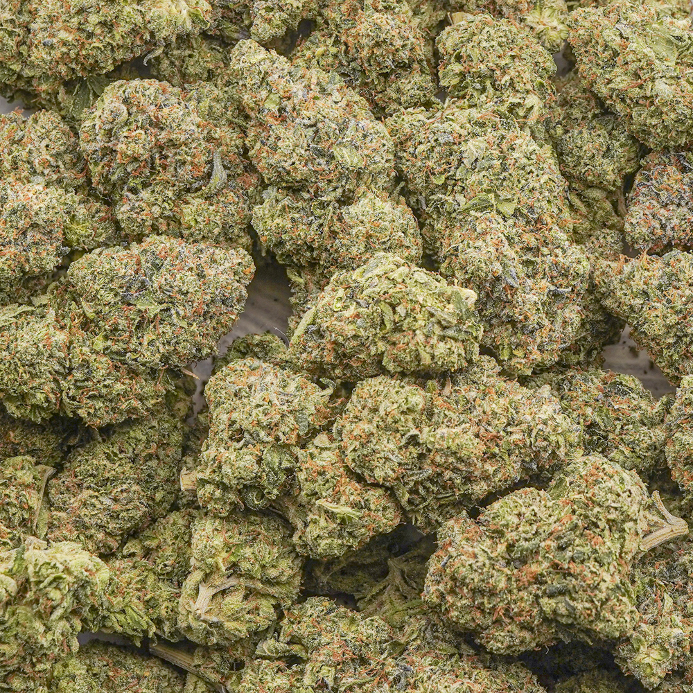 buy-weed-online-dispensary-g13-widow-aaaa-wholesale Wholesale - G13 Widow - AAAA - Image 1