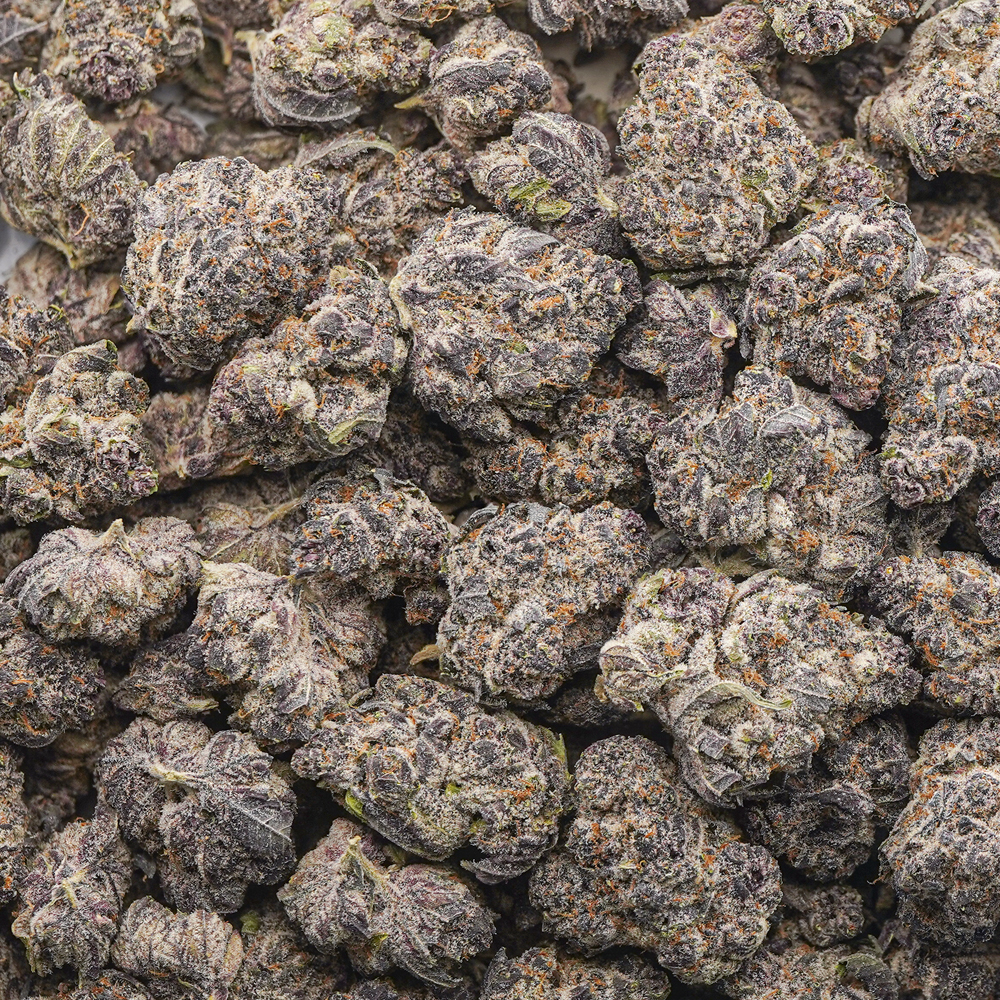 buy-weed-online-dispensary-ice-age-aaaa-wholesale Wholesale - Ice Age - AAAA - Image 1