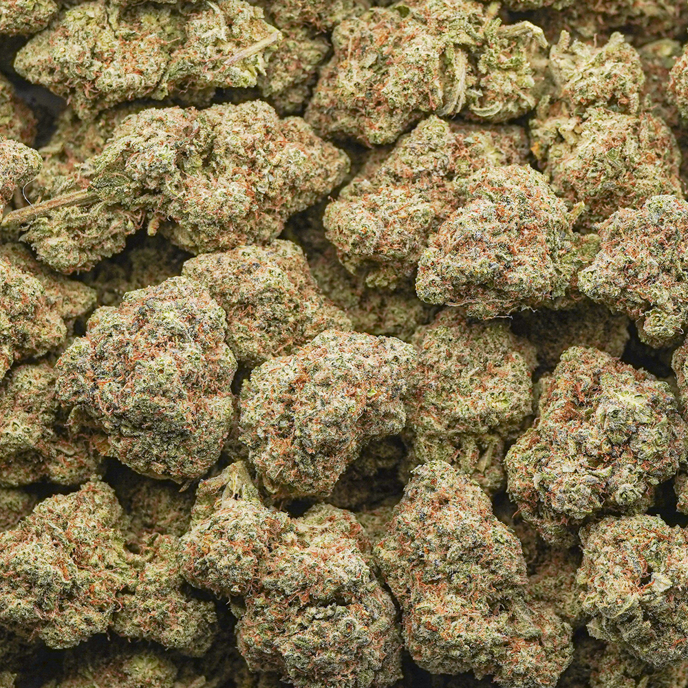buy-weed-online-dispensary-lemon-og-aa-wholesale Wholesale - Lemon OG - AA - Image 1