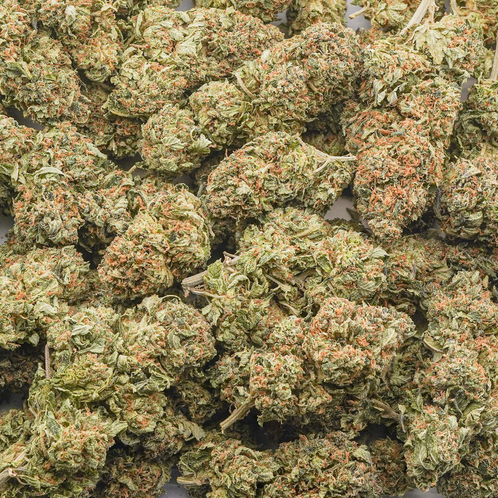 buy-weed-online-dispensary-master-hammer-aa-wholesale Wholesale - Master Hammer - AA - Image 1