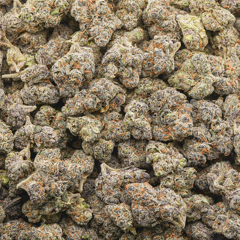 buy-weed-online-dispensary-poison-berry-aaaa-wholesale Wholesale - Poison Berry - AAAA - Image 1