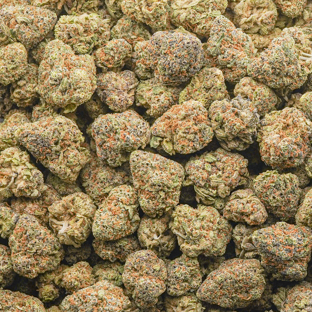 buy-weed-online-dispensary-sacrificial-lamb-aaa-popcorn-wholesale Sacrificial Lamb AAA Popcorn - Sativa - Image 1