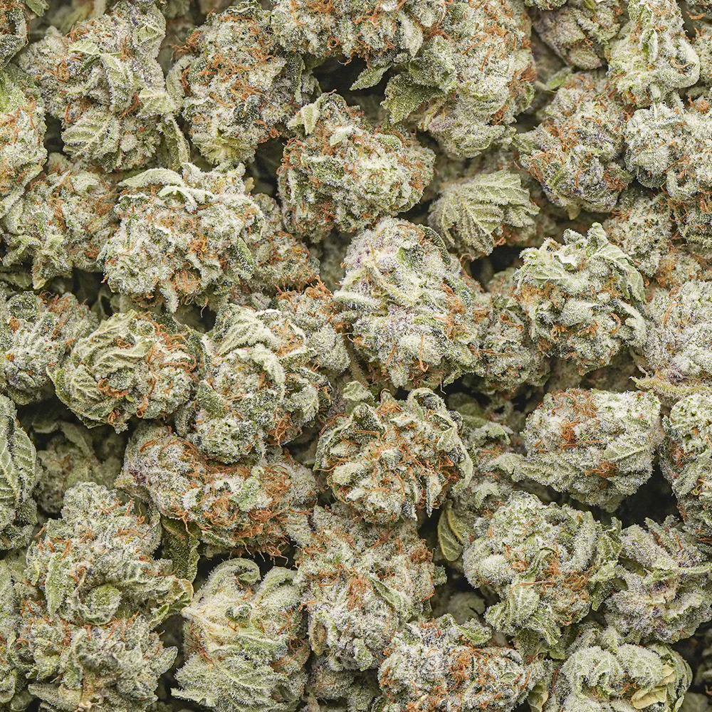 buy-weed-online-dispensary-death-star-popcorn-craft-wholesale Death Star Craft Popcorn - Indica - Image 1
