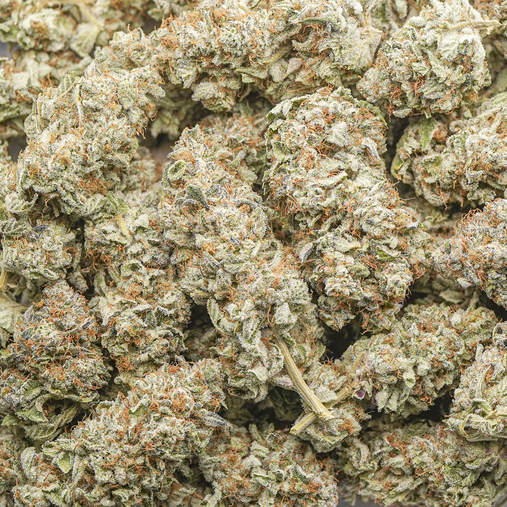 buy-weed-online-dispensary-jedi-kush-craft-wholesale Jedi Kush Craft - Indica - Image 1
