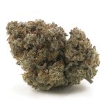 Bear Dance AA - Sativa