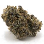 Wholesale - Blue Mammoth - Craft - Image 3