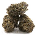 Wholesale - Blue Mammoth - Craft - Image 2