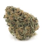 Wholesale - Blueberry G-13 - AA - Image 3