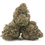 Captain Kush AAAA - Hybrid - Image 2