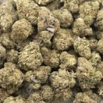 Captain Kush AAAA - Hybrid - Image 3