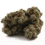 Chunk Norris AAA - Indica - Image 2