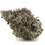 Dark Matter Craft - Hybrid