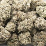 Dark Matter Craft - Hybrid - Image 3