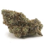 Dolce Gelato AAA - Indica