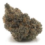 Dosi Sherbet AAAA - Indica