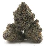 Wholesale - Funky Charms - AA - Image 2