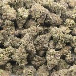 Wholesale - Funky Charms - AA