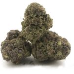 Wholesale - Grand Doggy Purps - AA - Image 2