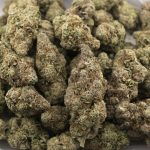 Grape Zkittlez Craft - Indica - Image 3