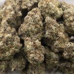 Burt Reynolds Craft - Indica - Image 3