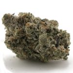 Grand Blueberry Pie Craft - Indica