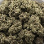 Grand Blueberry Pie Craft - Indica - Image 3