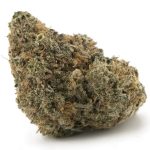 White Cookies AAA - Indica