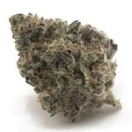 King Tut AAA - Sativa