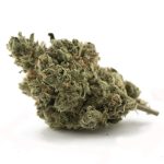 Landslide AAA - Indica