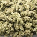 Landslide AAA - Indica - Image 3