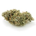 Rock Tuna AA - Hybrid