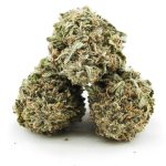 Rock Tuna AA – Hybrid