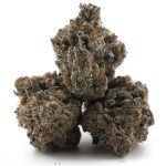 Orange Candy Craft - Sativa - Image 2