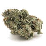 Pineapple Chunk AAAA - Hybrid