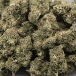 Pineapple Chunk AAAA - Hybrid - Image 3