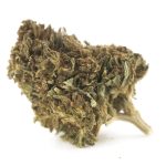 Pink Tuna A - Indica