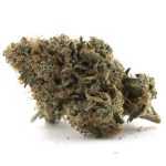 Platinum Romulan AAA - Indica