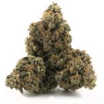 Platinum Romulan AAA - Indica - Image 2