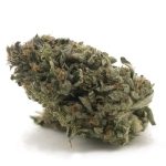 Predator Pink - AAA - Indica